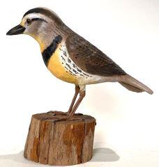 Meadowlark by Stan Sparre (1 of 3)