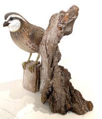 Miniature Bobwhite Quail by Stan Sparre (1 of 4)