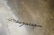 SIGNED LOMAWYWESA HOPI STERLING SILVER CUFF - 5