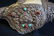 3 19TH C. TIBETAN SILVER MOUNTED CONCH SHELLS - 3