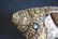 3 19TH C. TIBETAN SILVER MOUNTED CONCH SHELLS - 7