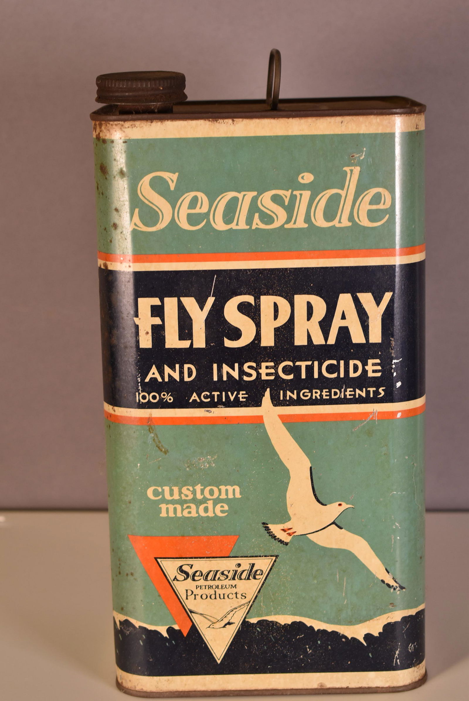 Seaside Fly Spray One Gallon Rectangle Metal Can (1 of 5)