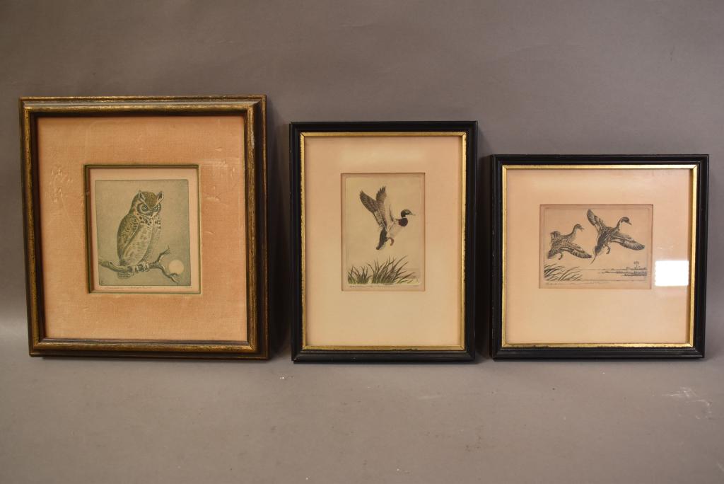 3 BENSON MOORE BIRD ETCHINGS (1 of 7)
