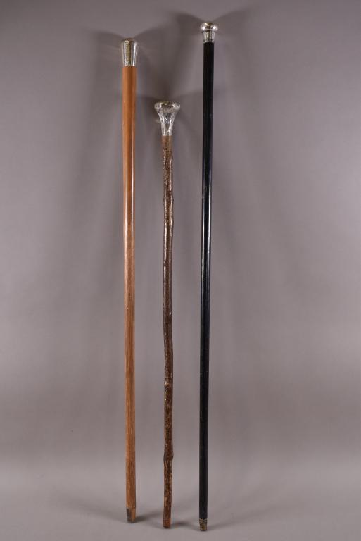 3 WALKING STICKS WITH SILVER HANDLES (1 of 4)