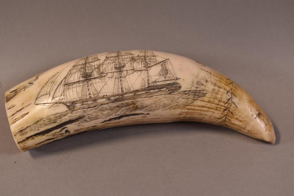 COMMODORE PERRY SCRIMSHAW: MOLDED SCRIMSHAW, NOT NATURAL. THE SHIP LAWRENCE SCRIMSHAW. MINOR WEAR. 6" L