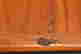 item-107200592=11