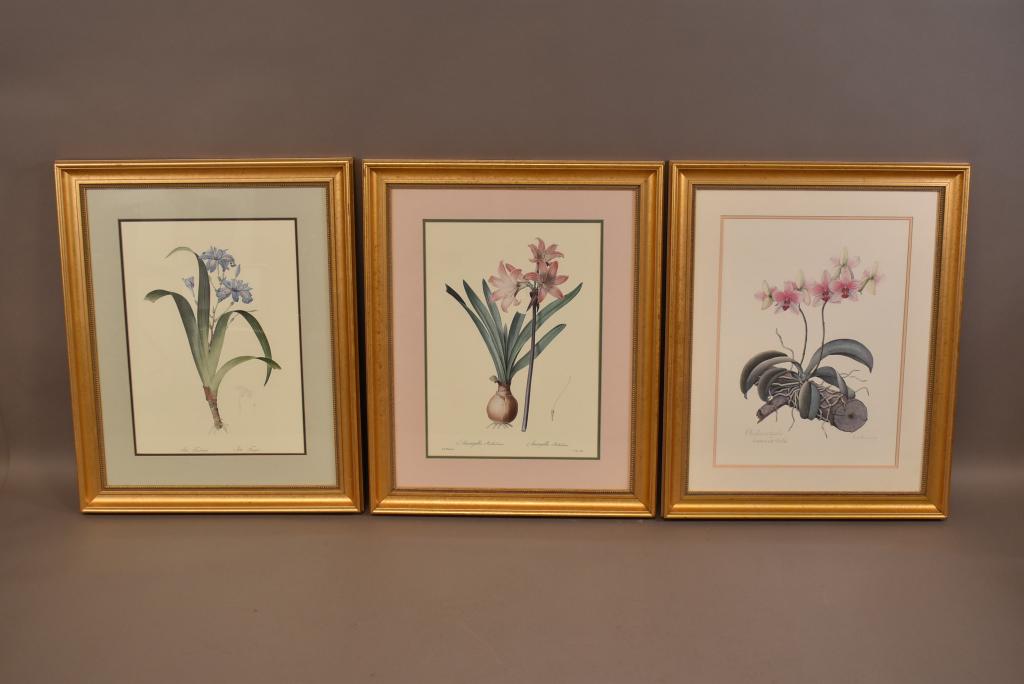 3 FRAMED BOTANICAL PRINTS (1 of 4)