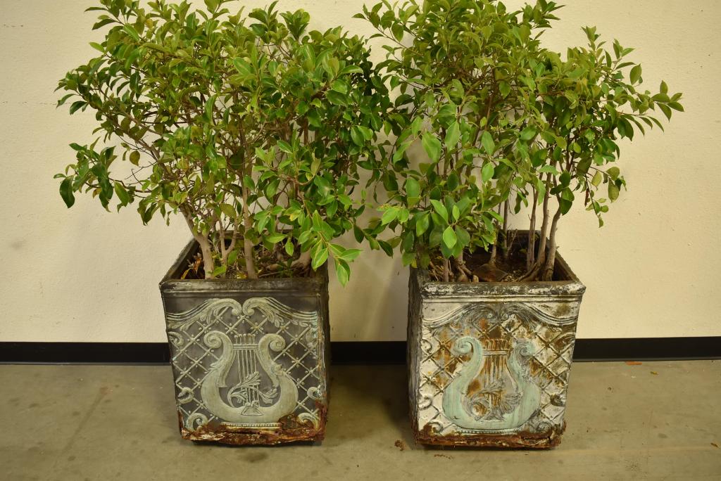 PAIR OF METAL LYRE DECORATED OUTDOOR PLANTERS (1 of 4)