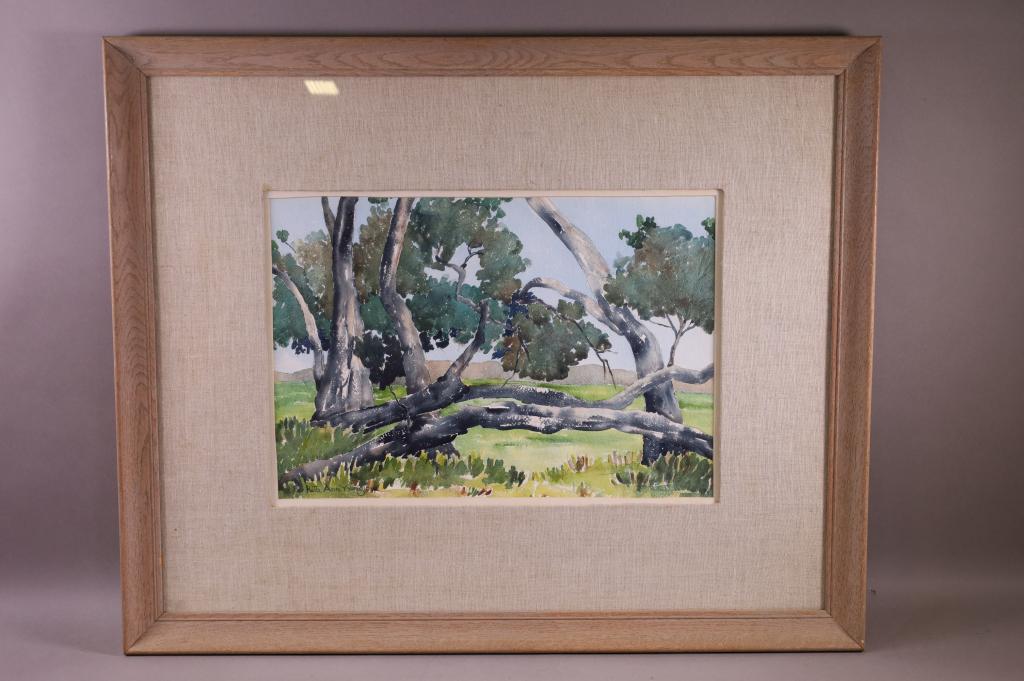 RUTH ANN YOUNGLOVE LANDSCAPE WATERCOLOR: WATERCOLOR SIGNED LOWER LEFT RUTH ANN YOUNGLOVE. FRAMED UNDER GLASS. GOOD CONDITION. 19" x 13" IMAGE SIZE / 19" x 33" IN FRAME. THIS ITEM EXCEEDS SIZE LIMITATIONS FOR IN HOUSE SHIPPING.