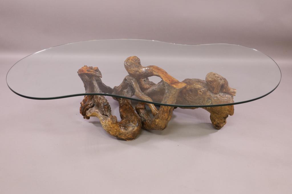 GLASS TOP ROOT COFFEE TABLE (1 of 3)