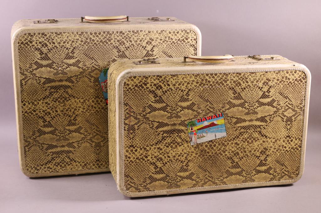 2 VINTAGE SKYWAY SUITCASES (1 of 5)