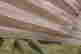 item-128891050=3