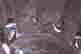 item-128891222=4