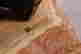 item-128891457=2