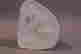 item-131704002=4