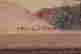 item-131704052=2