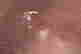 item-131704145=3