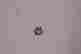 item-131704161=2