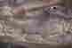 item-131704176=2