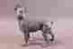item-131704191=2