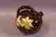 item-131704228=2