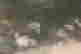 item-131704267=3