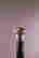 item-131704298=5