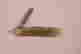 item-131704307=2