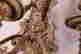 item-131704466=2