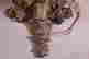 item-131704466=3