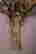 item-131704473=3