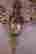 item-131704477=3