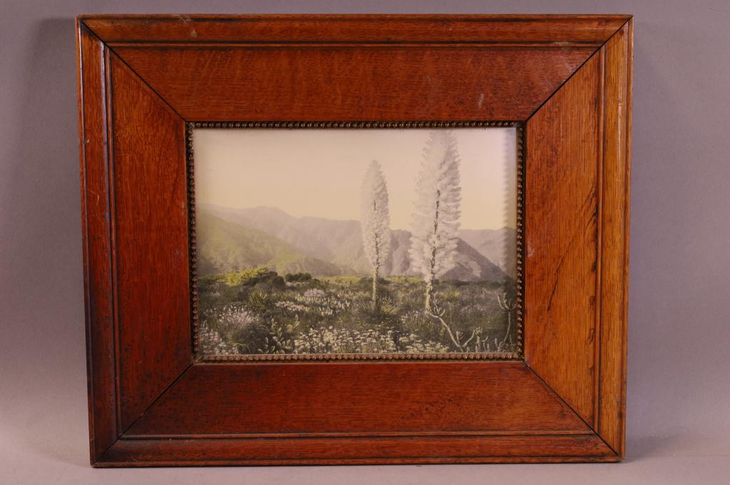 HAND TINTED YUCCA PRINT (1 of 3)