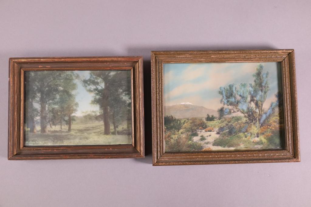 2 HAND TINTED PHOTOS OF CALIFORNIA (1 of 4)