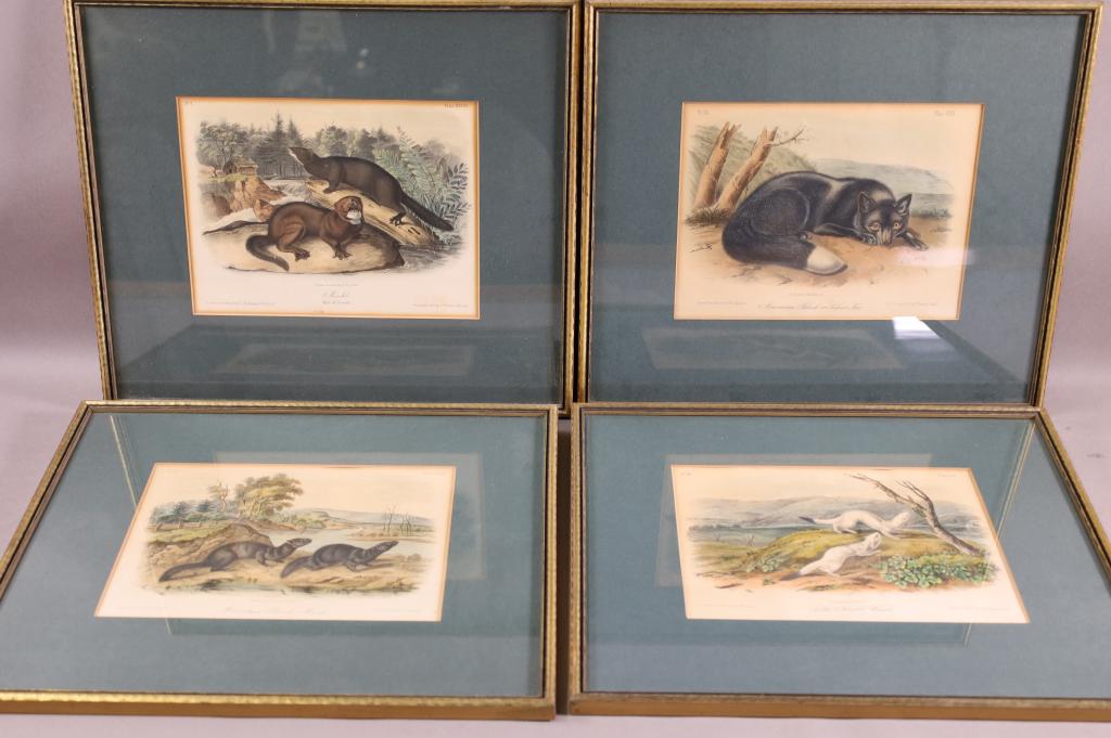 4 ANTIQUE AUDUBON ANIMAL PRINTS (1 of 5)
