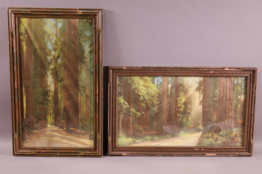 2 1920'S HAND TINTED REDWOOD PHOTOS (1 of 3)