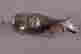 item-133678429=2