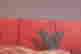 item-133678634=3