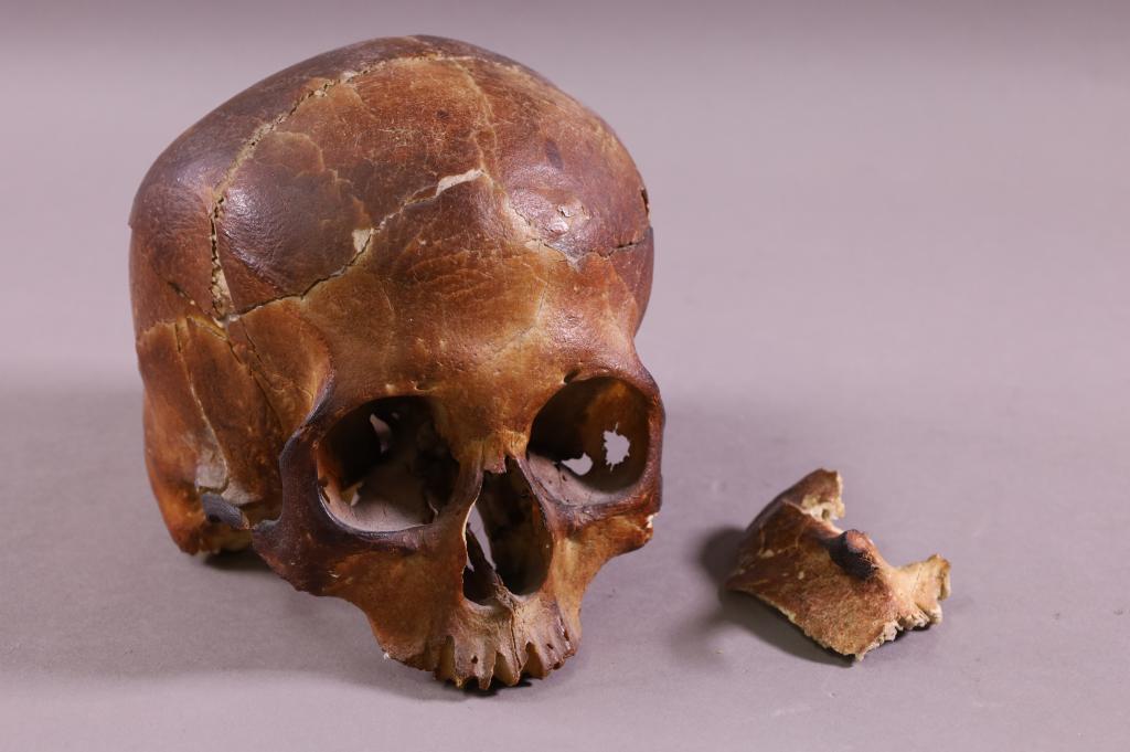 ANTIQUE SKULL (1 of 5)