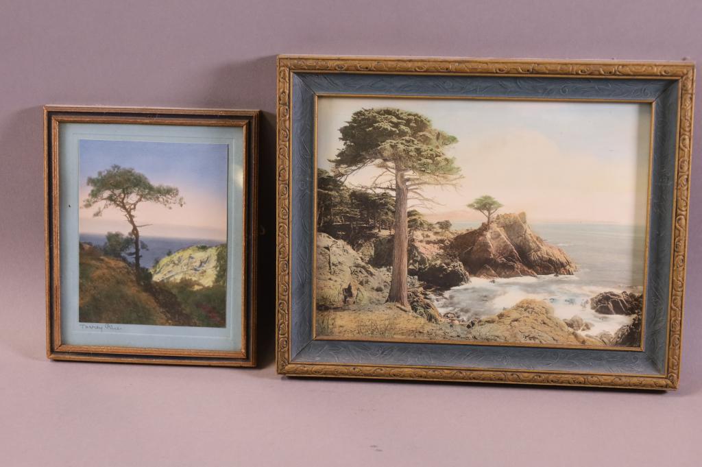 TWO HAND TINTED PHOTOS (1 of 6)