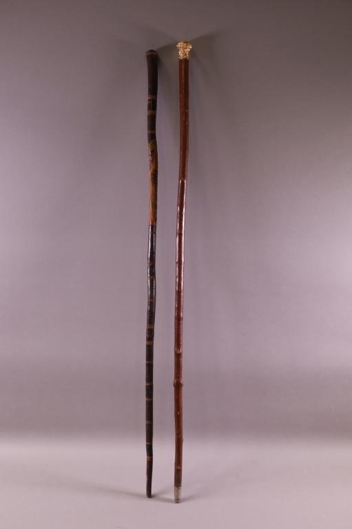 TWO WALKING STICKS (1 of 3)