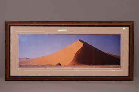 THOMAS D MANGELSEN FRAMED PHOTO: LARGE FRAMED PHOTO BY THOMAS D MANGELSEN, SIGNED. "IMAGES OF NATURE". FRAME IS 58" x 27" THIS ITEM EXCEEDS SIZE LIMITATIONS FOR IN HOUSE SHIPPING.