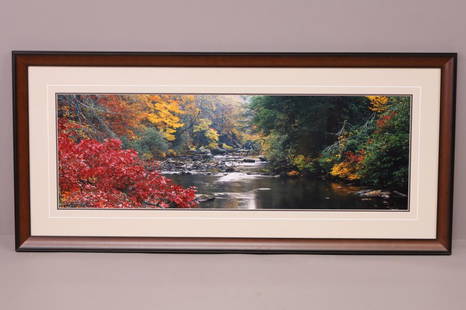 THOMAS D MANGELSEN FRAMED PHOTO: LARGE FRAMED PHOTO BY THOMAS D MANGELSEN, SIGNED. "IMAGES OF NATURE". FRAME IS 57 1/2" x 26" THIS ITEM EXCEEDS SIZE LIMITATIONS FOR IN HOUSE SHIPPING.