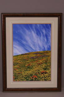 THOMAS D MENGELSEN FRAMED PHOTO: LARGE FRAMED PHOTO BY THOMAS D MANGELSEN, SIGNED. "IMAGES OF NATURE". FRAME IS 31" x 41" THIS ITEM EXCEEDS SIZE LIMITATIONS FOR IN HOUSE SHIPPING.