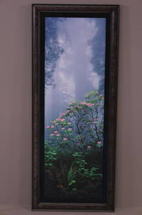 THOMAS D MENGELSEN FRAMED PHOTO: LARGE FRAMED PHOTO BY THOMAS D MANGELSEN, SIGNED. "IMAGES OF NATURE". FRAME IS 21 1/2" x 52" THIS ITEM EXCEEDS SIZE LIMITATIONS FOR IN HOUSE SHIPPING.