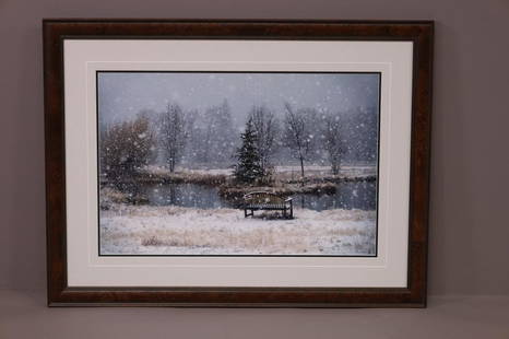 THOMAS D MENGELSEN FRAMED PHOTO: LARGE FRAMED PHOTO BY THOMAS D MANGELSEN, SIGNED. "IMAGES OF NATURE". FRAME IS 41" x 31" THIS ITEM EXCEEDS SIZE LIMITATIONS FOR IN HOUSE SHIPPING.