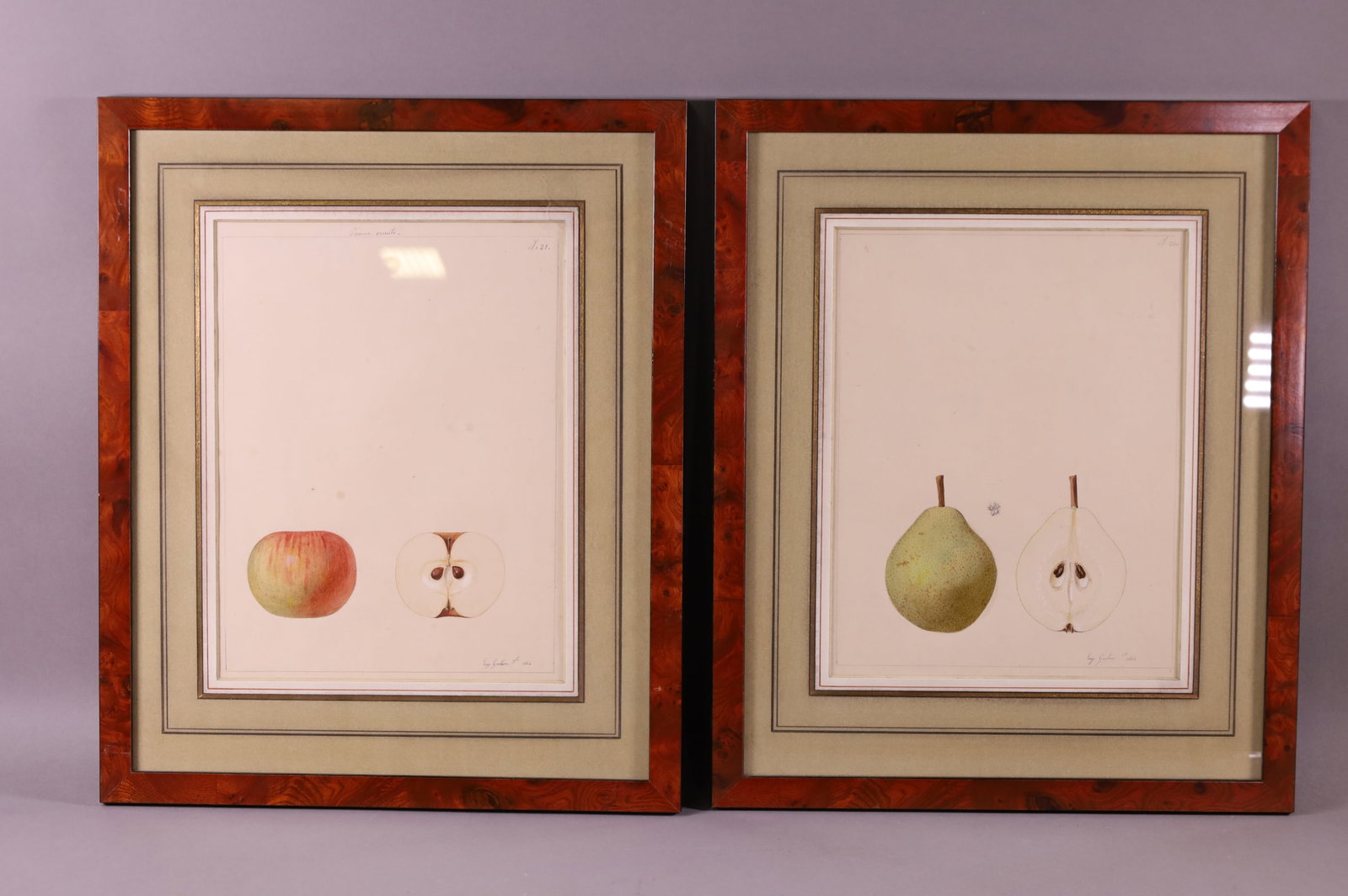 TWO EUGENE GROBON FRUIT WATERCOLORS (1 of 15)