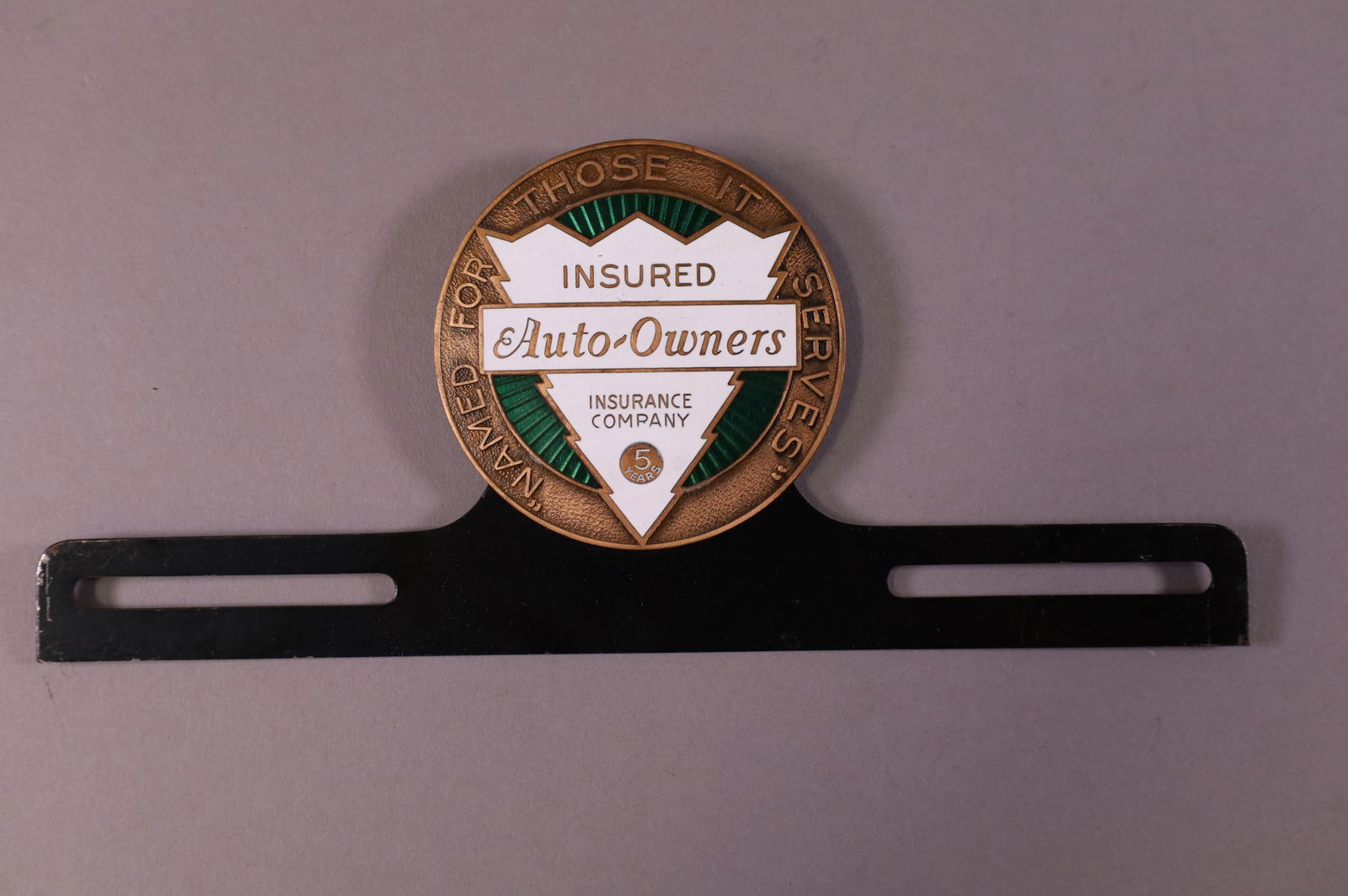 INSURED AUTO OWNERS LICENSE PLATE TOPPER (1 of 2)