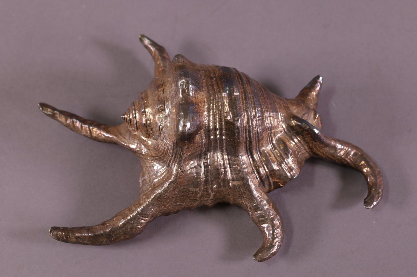 FEDERICO BUCCELLATI SHELL: LARGE SILVER COATED SHELL, MARKED FREDERICO BUCCELLATI 999. 8 3/4" L