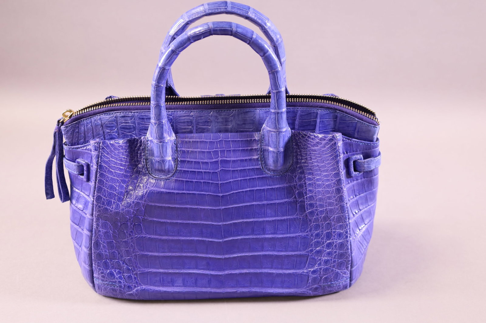 NANCY GONZALEZ HAND BAG (1 of 5)